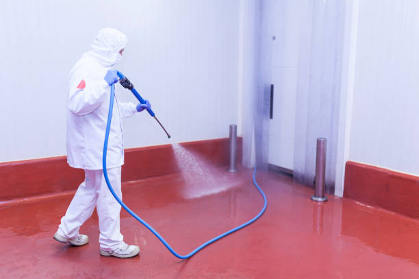 Best Rust Removal  in Mill Plain, CT
